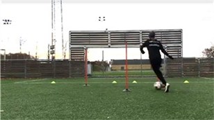 Træning af finter imellem agilitystænger