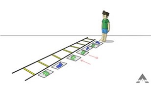 Højre- eller venstre-drejet