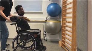 Elastikbånd rows (arbejdsfase)