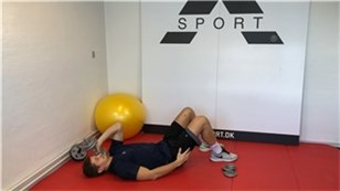 Triceps ekstensioner