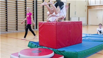 Spottrainer 1 - Rulle