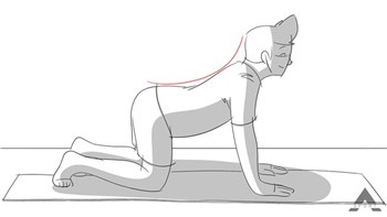 Rund og svaj i ryggen