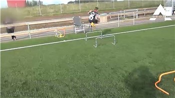 Agility - mini og returhække