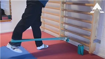 Kim Nedergaard - elastik