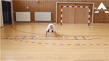 Reaktionssten - idræt