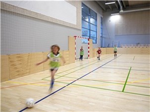 Bandeplade - standard