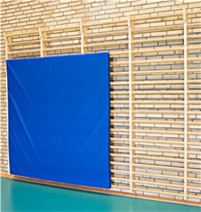 Beskyttelse til Ribbevæg 200x200x6 cm