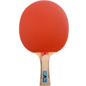 Bordtennisbat - Skole