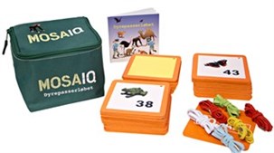 Dyrepasserløbet MosaIQ