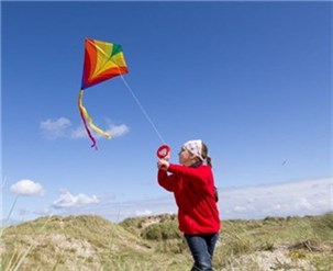 Eddy drage - 1-linet