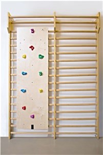 Klatreplade til Ribbe incl. klatresten