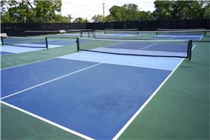 Pickleball bane softcourt
