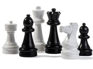 Skakbrikker 20-30 cm