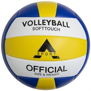 Skole Volleyball Welstar
