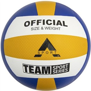 Volleyball school