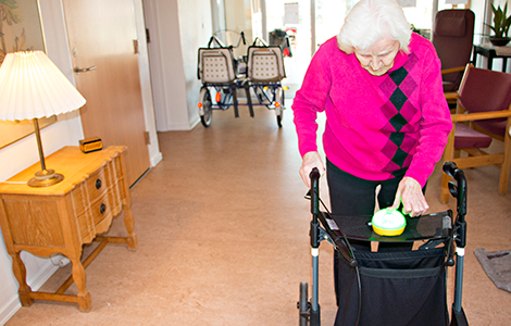 Bevægelsesaktivitet til senioridræt med Slappuk - Orienteringsgang