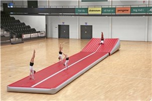 Airtrack Pro 12x2,8x0,3m.